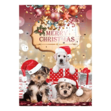 Adventskalender Choklad Hund 75g – Coopers Candy