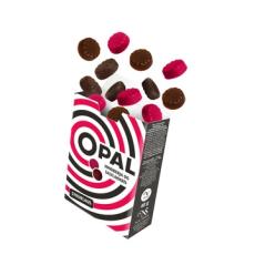 OPAL Hallon & Saltlakrits Sockerfri 40g – Coopers Candy