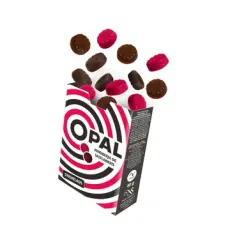 OPAL Hallon & Saltlakrits Sockerfri 40g – Coopers Candy