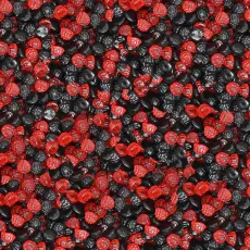 Skogsbär Sockerfria 2kg – Coopers Candy