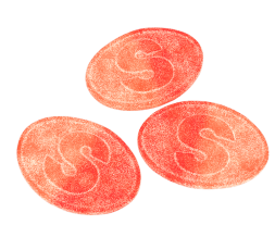 S-Märke Sour Peach 500g – Coopers Candy