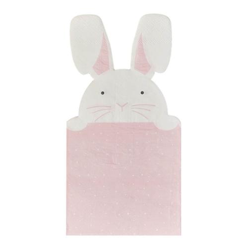 Servetter Kanin Eggciting Easter 16-pack – Coopers Candy