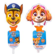 Paw Patrol Fun Lollipop 80g (1st) – Coopers Candy