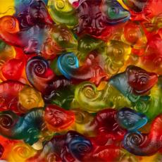 Haribo Chameleon 1kg – Coopers Candy