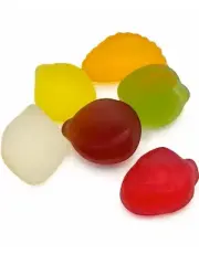 Frisia Fruit Sugarfree 1.5kg &ndash; Coopers Candy