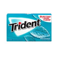Trident Wintergreen Gum 31g – Coopers Candy