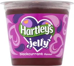 Hartleys Blackcurrant Jelly Pot 125g – Coopers Candy