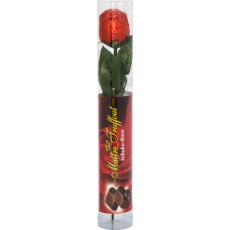 Chokladros 22g – Coopers Candy