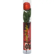 Chokladros 22g – Coopers Candy
